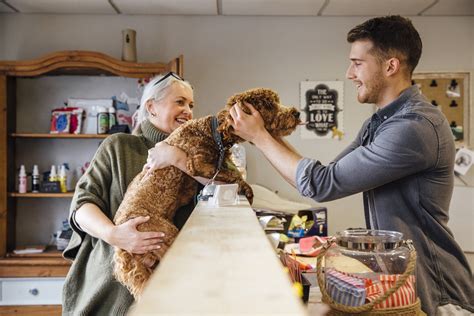 dierenverzorger opleiding - How to Succeed in Your Dierenverzorger Opleiding.